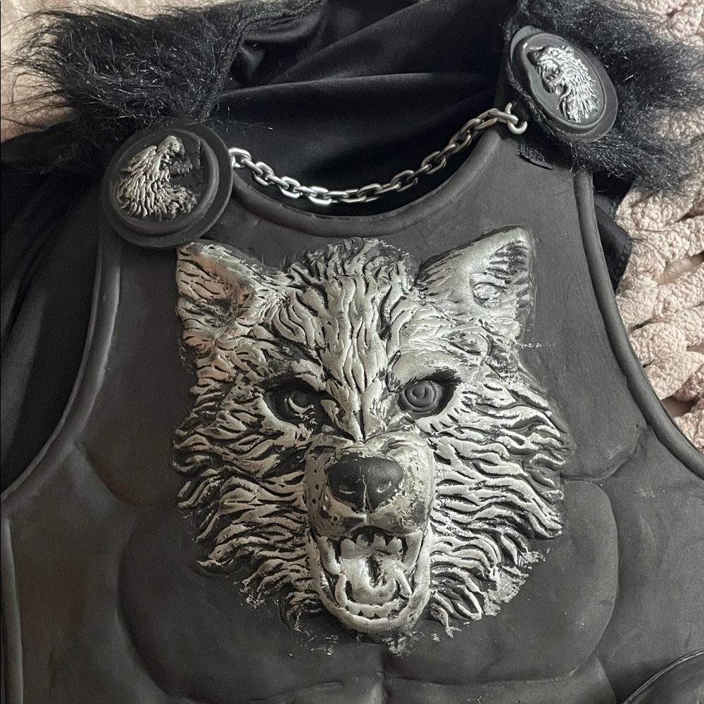 Vintage Kids Wolf Jon Snow Medieval Renaissance Knight Costume - Picture 2 of 5